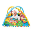 Afbeelding in Gallery Viewer laden, Baby Projector Activity Gym