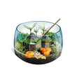 Afbeelding in Gallery Viewer laden, Harry Potter - Terrarium