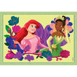 Afbeelding in Gallery Viewer laden, Disney Princess - 1x12 + 1x16 + 1x20 + 1x24 stukjes