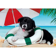 Afbeelding in Gallery Viewer laden, Sunny Beach - 104 stukjes