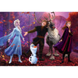Afbeelding in Gallery Viewer laden, Disney Frozen - 104 stukjes