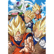 Afbeelding in Gallery Viewer laden, Dragonball - 104 stukjes