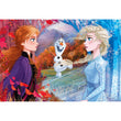Afbeelding in Gallery Viewer laden, Disney Frozen 2 - 60 stukjes