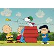 Afbeelding in Gallery Viewer laden, Peanuts - 180 stukjes