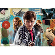 Afbeelding in Gallery Viewer laden, Harry Potter - 180 stukjes