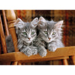 Afbeelding in Gallery Viewer laden, Kittens - 500 stukjes
