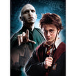 Afbeelding in Gallery Viewer laden, Harry Potter - 500 stukjes