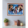Afbeelding in Gallery Viewer laden, Harry Potter - 500 stukjes