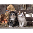 Afbeelding in Gallery Viewer laden, Lovely kittens - 1000 stukjes