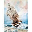 Afbeelding in Gallery Viewer laden, Amerigo Vespucci - 1000 stukjes