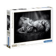 Afbeelding in Gallery Viewer laden, Kitty - 1000 stukjes