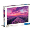 Afbeelding in Gallery Viewer laden, Lavender Field - 1000 stukjes