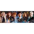 Afbeelding in Gallery Viewer laden, Panorama Harry Potter - 1000 stukjes