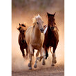 Afbeelding in Gallery Viewer laden, Running Horses - 1000 stukjes