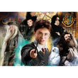 Afbeelding in Gallery Viewer laden, Harry Potter - 1000 stukjes