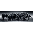 Afbeelding in Gallery Viewer laden, Herd Of Giants - 1000 stukjes