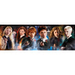 Afbeelding in Gallery Viewer laden, Harry Potter - 1000 stukjes