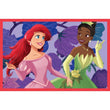 Afbeelding in Gallery Viewer laden, Disney Princess