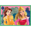 Afbeelding in Gallery Viewer laden, Disney Princess