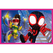 Afbeelding in Gallery Viewer laden, Marvel Spidey And His Amazing Friends