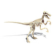 Afbeelding in Gallery Viewer laden, Archéo Ludic - Vélociraptor