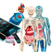 Afbeelding in Gallery Viewer laden, Super Anatomie