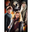 Afbeelding in Gallery Viewer laden, Harry Potter - 1000 stukjes