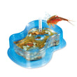 Afbeelding in Gallery Viewer laden, Mes Premiers Triops