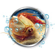 Afbeelding in Gallery Viewer laden, Kweek je eigen Triops