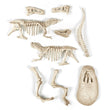 Afbeelding in Gallery Viewer laden, Archeospel -T Rex Fluo