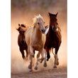 Afbeelding in Gallery Viewer laden, Running Horses - 1000 stukjes