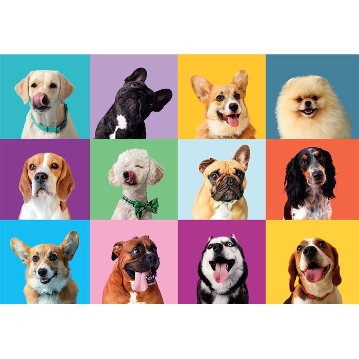 Funny Faces - 300 stukjes