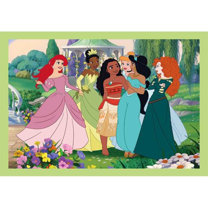 Disney Princess - 1x12 + 1x16 + 1x20 + 1x24 stukjes