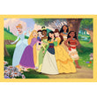 Afbeelding in Gallery Viewer laden, Disney Princess - 1x12 + 1x16 + 1x20 + 1x24 stukjes
