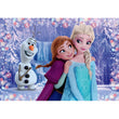 Afbeelding in Gallery Viewer laden, Frozen - 2x20 stukjes
