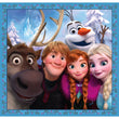 Afbeelding in Gallery Viewer laden, Frozen - 3x48 stukjes

