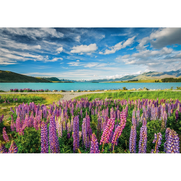 Lupins At Lake Tekapo - 1500 stukjes