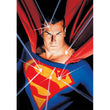 Afbeelding in Gallery Viewer laden, Superman - 500 stukjes
