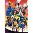 Afbeelding in Gallery Viewer laden, Marvel Xmen - 1000 stukjes
