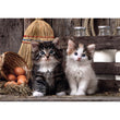 Afbeelding in Gallery Viewer laden, Lovely Kittens - 1000 stukjes
