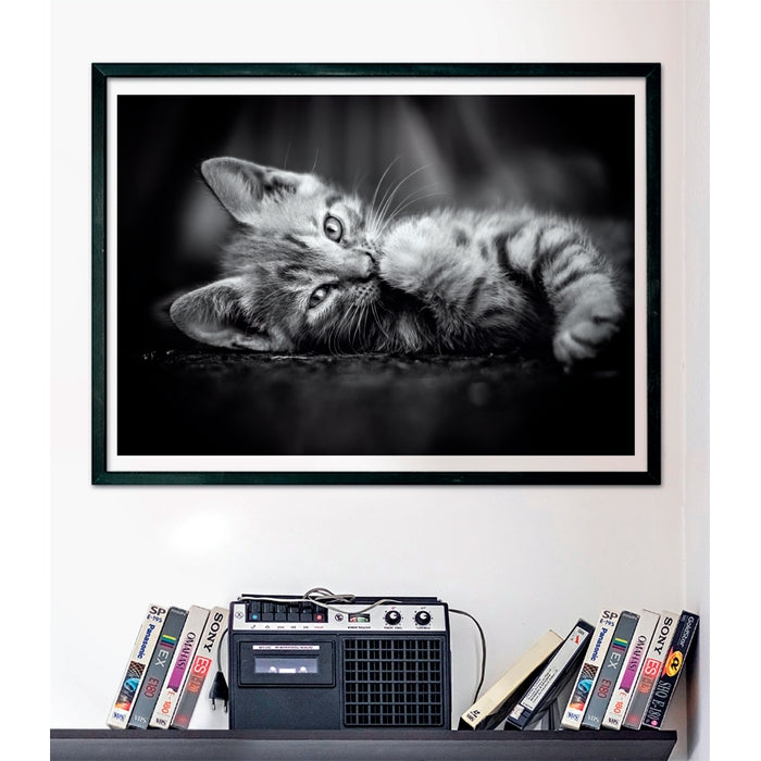 Kitty - 1000 stukjes