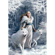 Afbeelding in Gallery Viewer laden, Anne Stokes - Winter Guardians - 1000 stukjes
