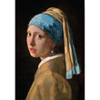 Afbeelding in Gallery Viewer laden, Vermeer, Girl With Pearl Earring - 1000 stukjes
