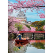 Afbeelding in Gallery Viewer laden, Himeji Castle In Spring - 1000 stukjes
