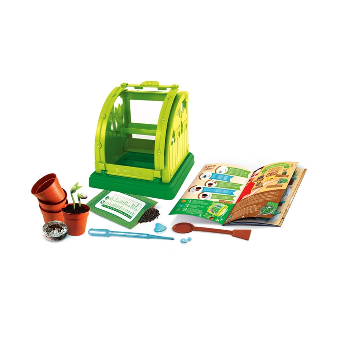 Mini Vegetable Garden