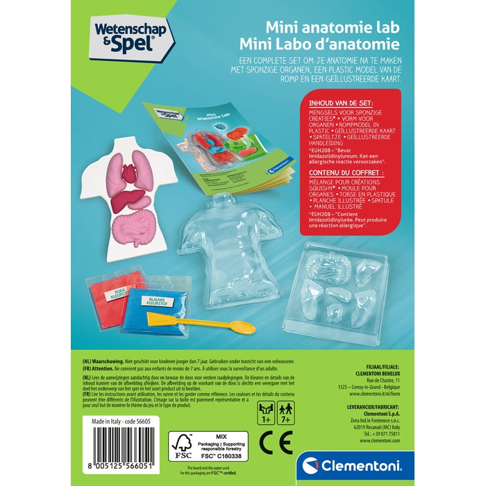 Anatomy of the Skeleton and Organs