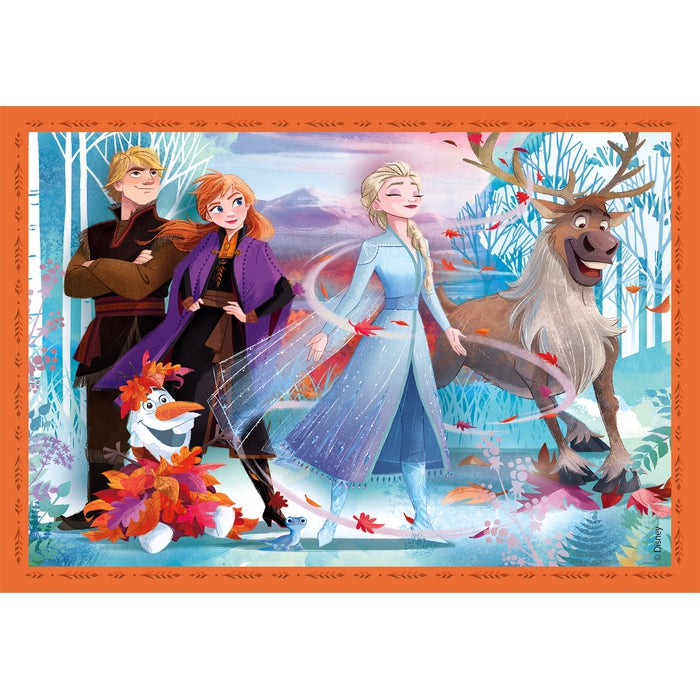 Disney Frozen - 1x12 + 1x16 + 1x20 + 1x24 stukjes