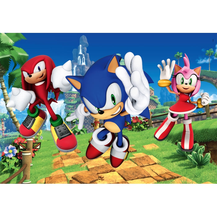 Sonic - 3x48 stukjes