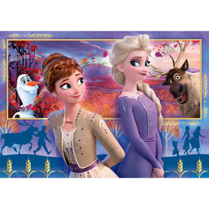 Disney Frozen 2 - 60 stukjes