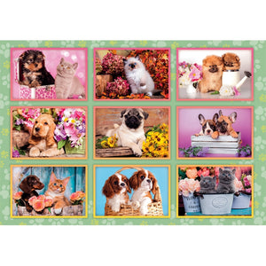 Puppies Collage - 180 stukjes